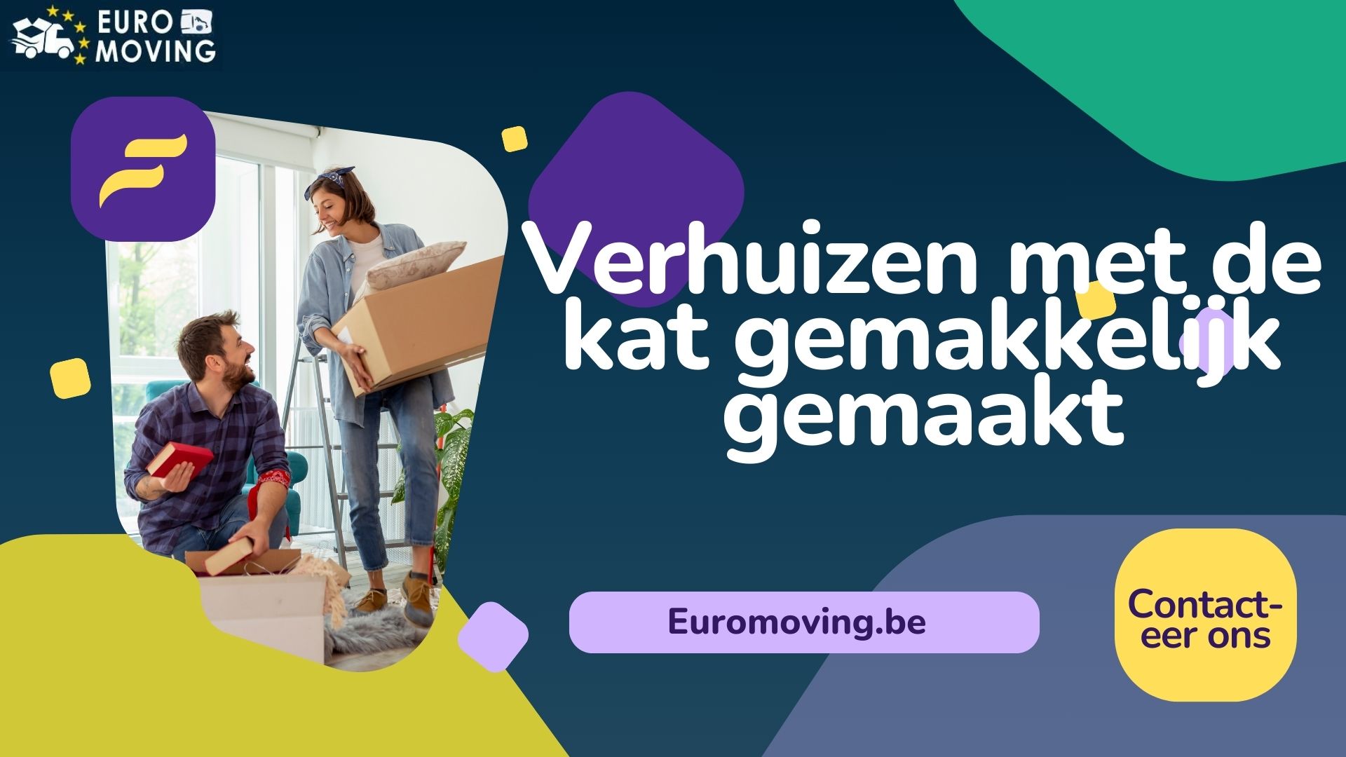 Verhuizen met de kat gemakkelijk gemaakt